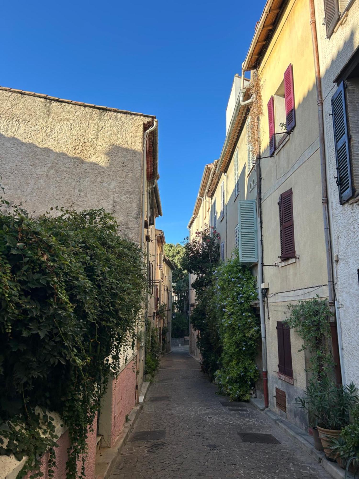 Charmant 3 Pieces Renove Au Coeur Du Vieil Antibes Eksteriør billede
